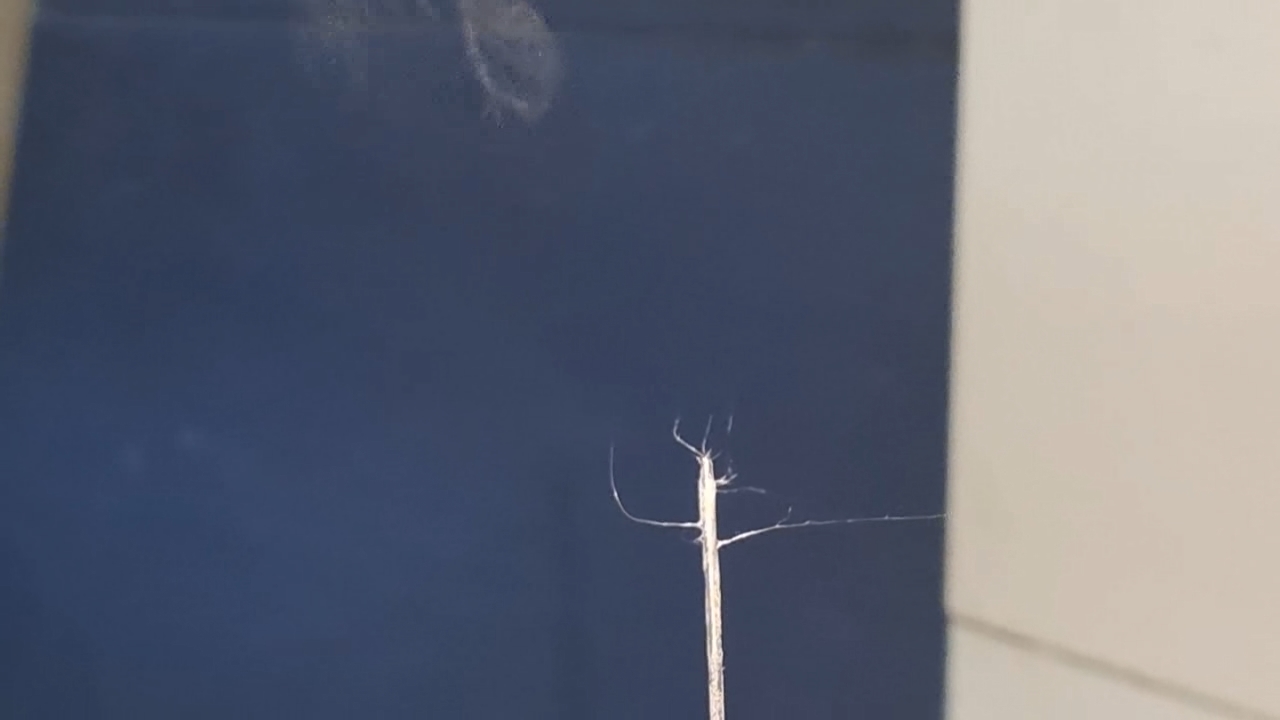 Electrospinning: Solutions of Polystyrene and Polyvinylidene Difluoride in Dimethylformamide